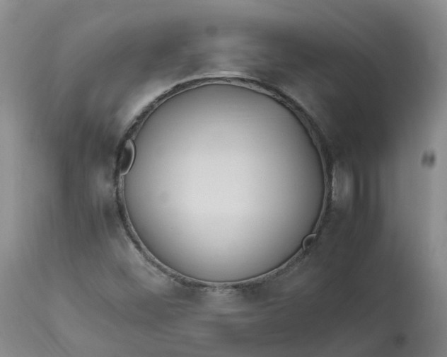 X0000113211452200910011309