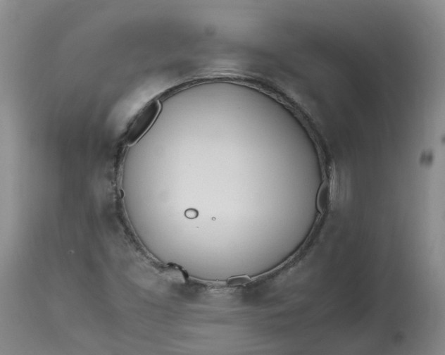 X0000113211453200910011309