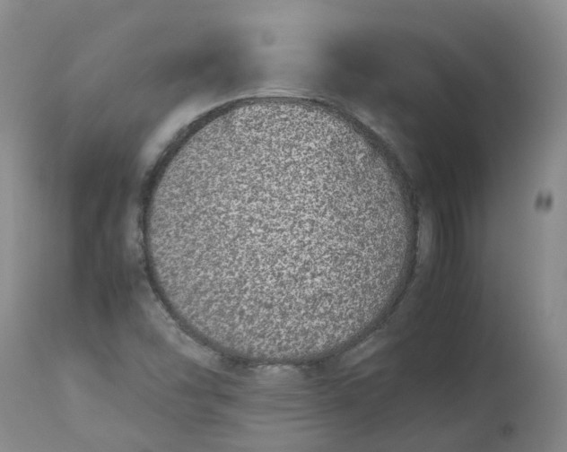 X0000113211454200910011309