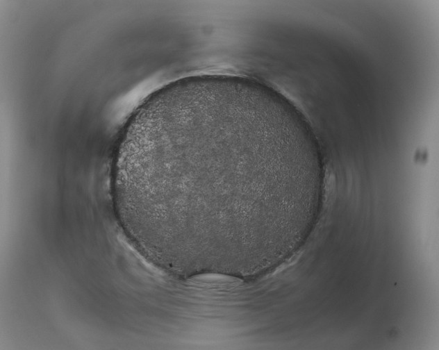 X0000113211455200910011309