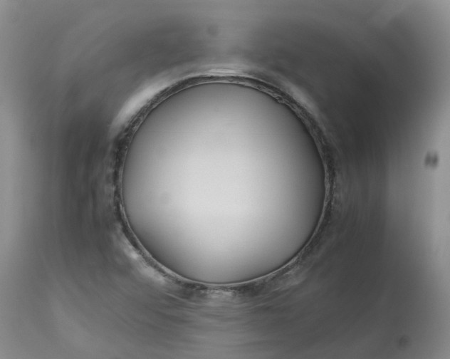 X0000113211456200910011309