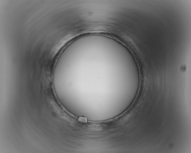 X0000113211457200910011309