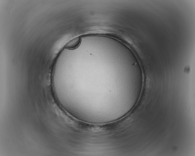 X0000113211459200910011309