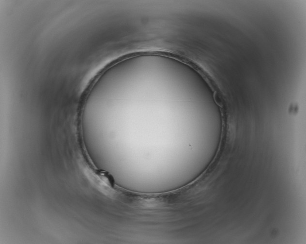 X0000113211460200910011309