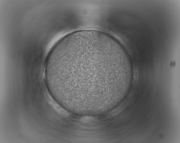 X0000113211462200910011308