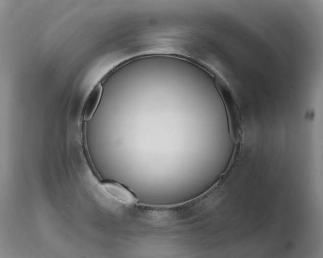 X0000113211468200910011308