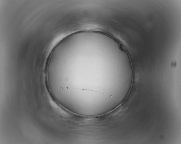 X0000113211471200910011308