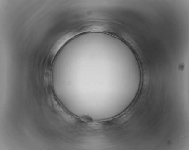 X0000113211473200910011308