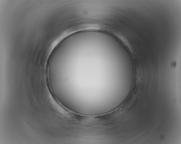 X0000113211475200910011308