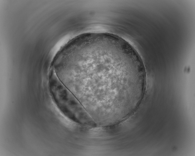 X0000113211477200910011308