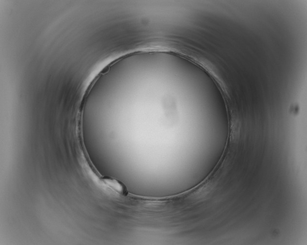 X0000113211484200910011308