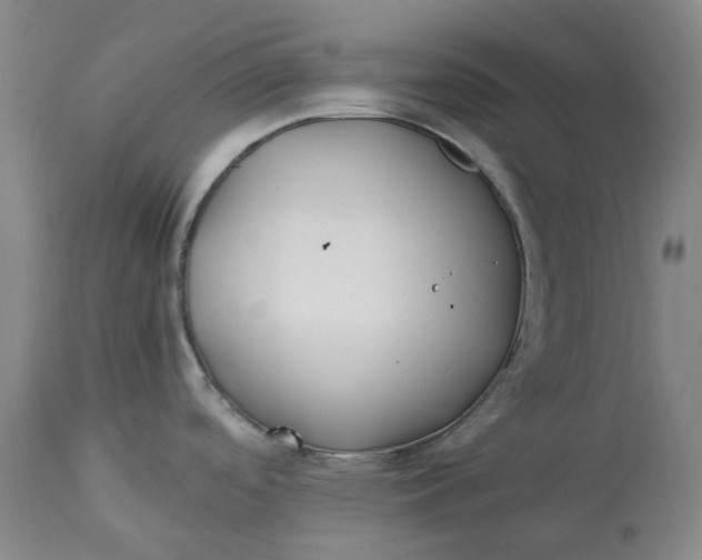 X0000113211488200910011308