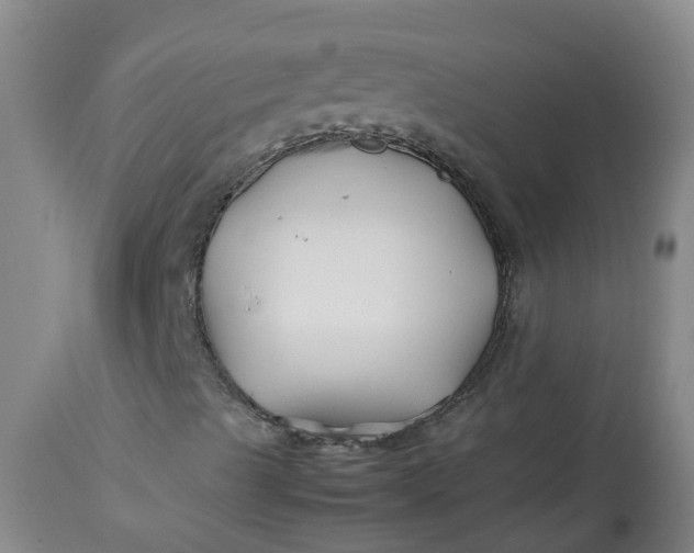 X0000113211489200910011307