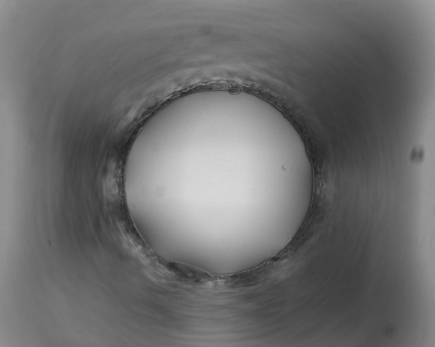 X0000113211490200910011307