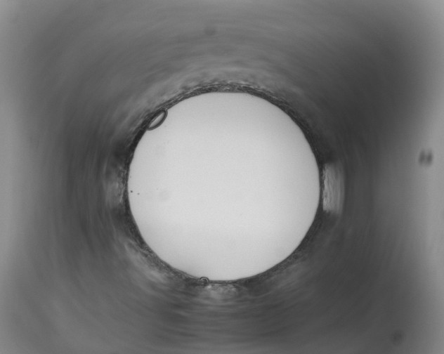 X0000113211491200910011307