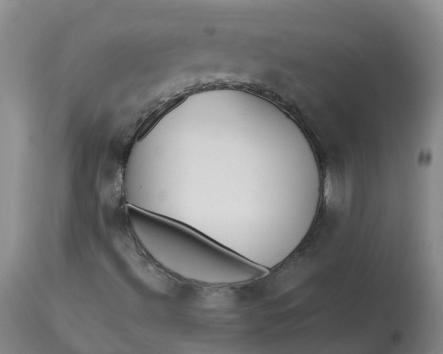 X0000113211492200910011307