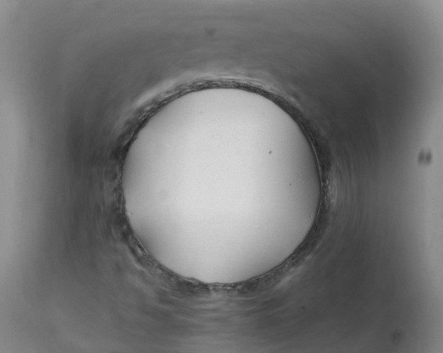 X0000113211494200910011307