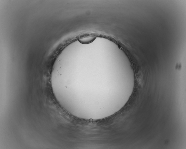 X0000113211495200910011307