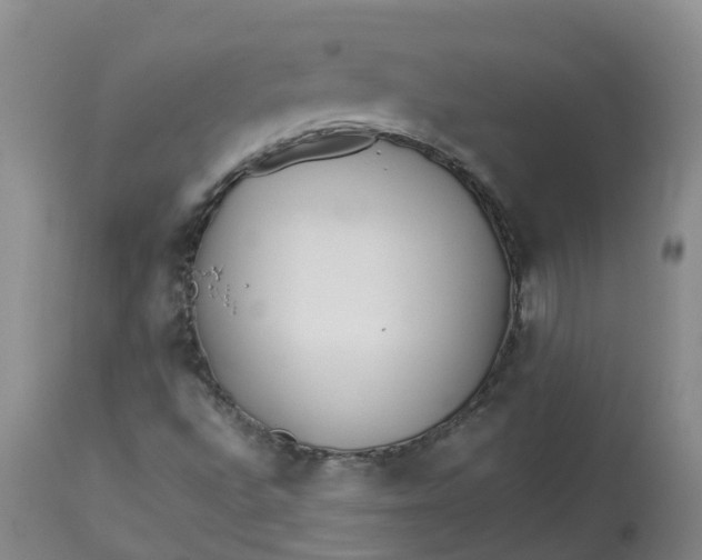 X0000113211496200910011307