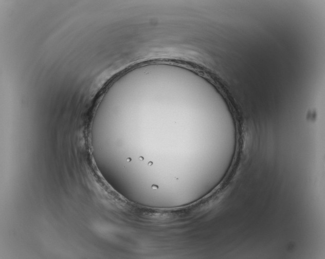 X0000113211497200910011307