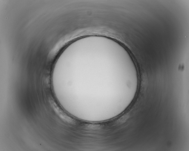 X0000113211499200910011307