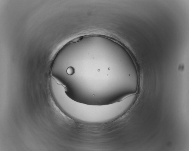 X0000113211500200910011307