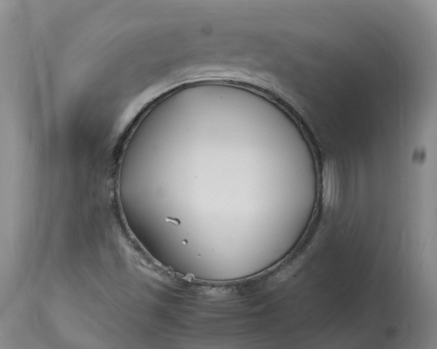 X0000113211501200910011307