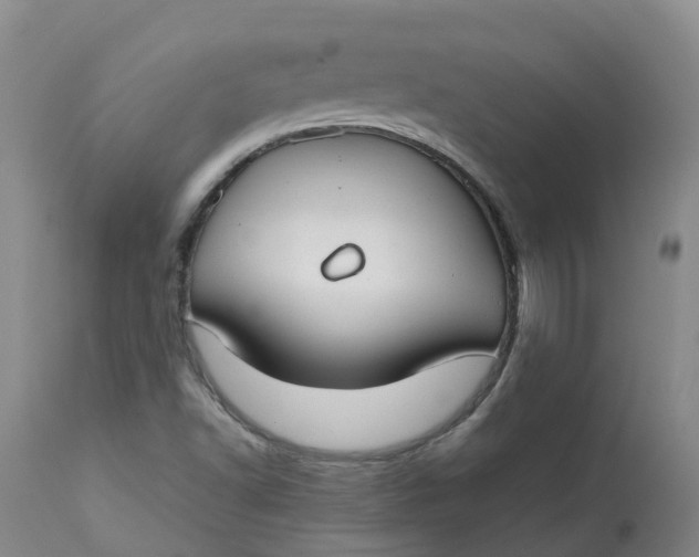 X0000113211502200910011307