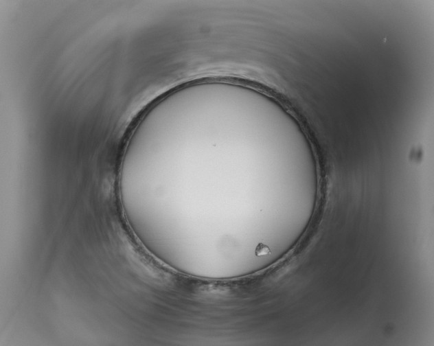 X0000113211505200910011308