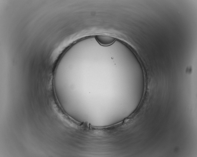 X0000113211507200910011308