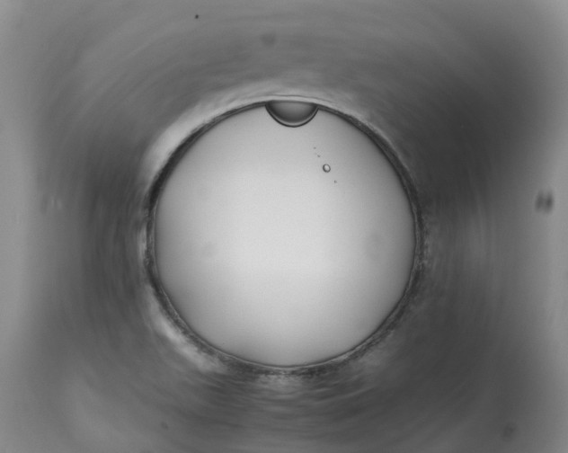 X0000113211511200910011308