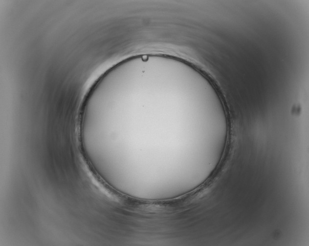 X0000113211517200910011308