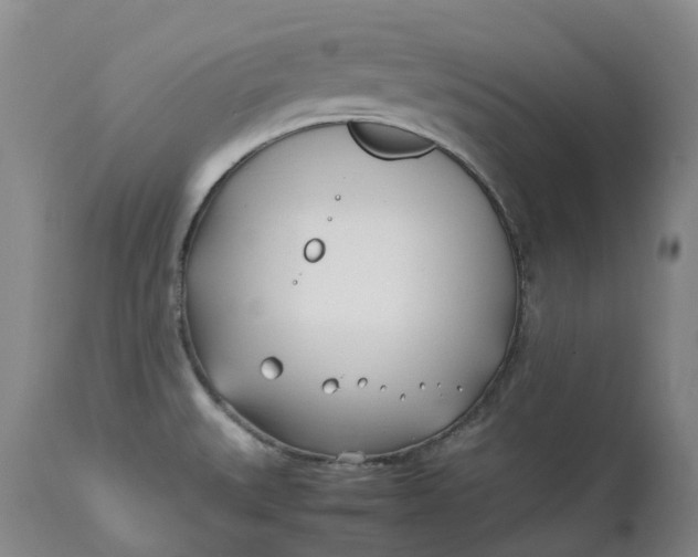 X0000113211527200910011308