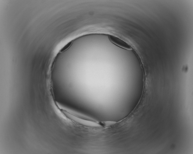 X0000113211528200910011308