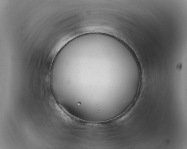 X0000113211529200910011308