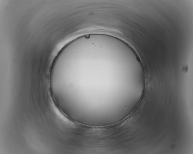 X0000113211531200910011308