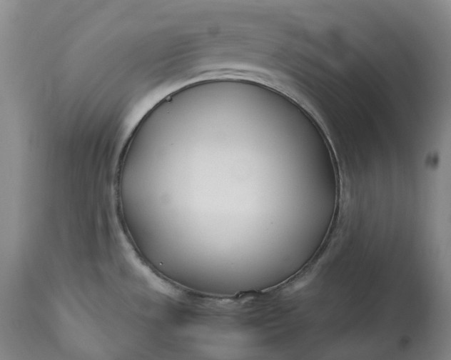 X0000113211533200910011308