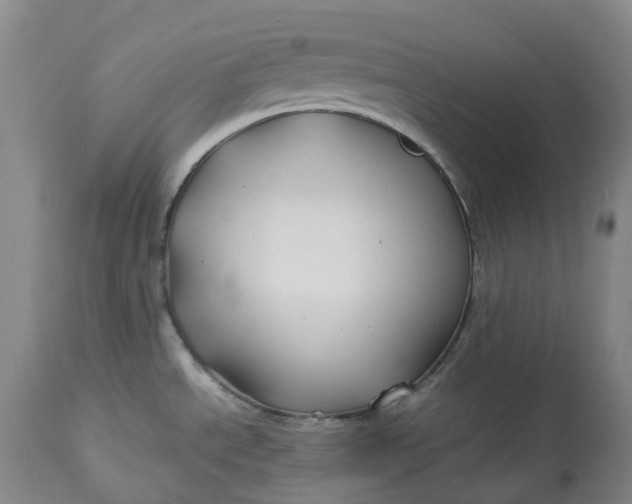 X0000113211534200910011308