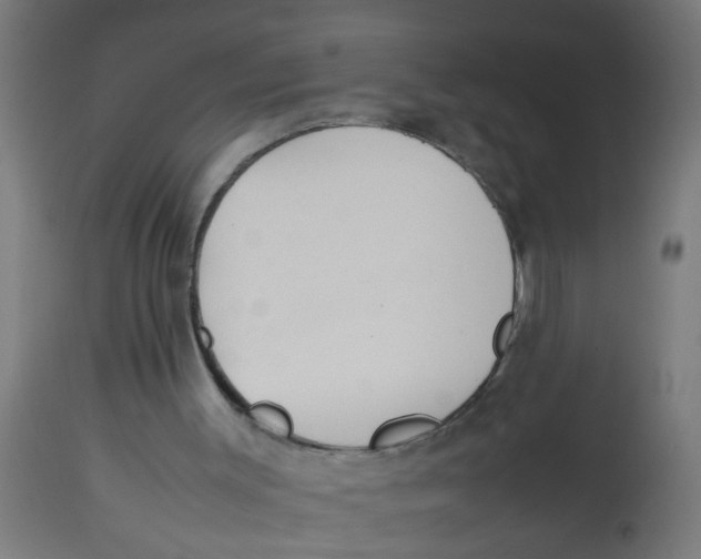 X0000113210003200910081328