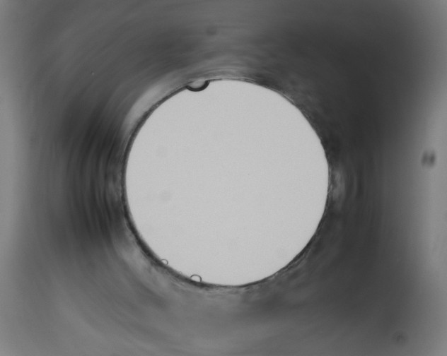 X0000113210004200910081328