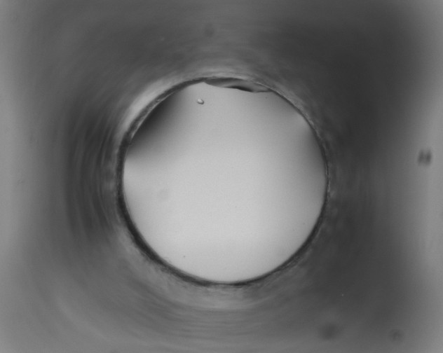 X0000113210008200910081328