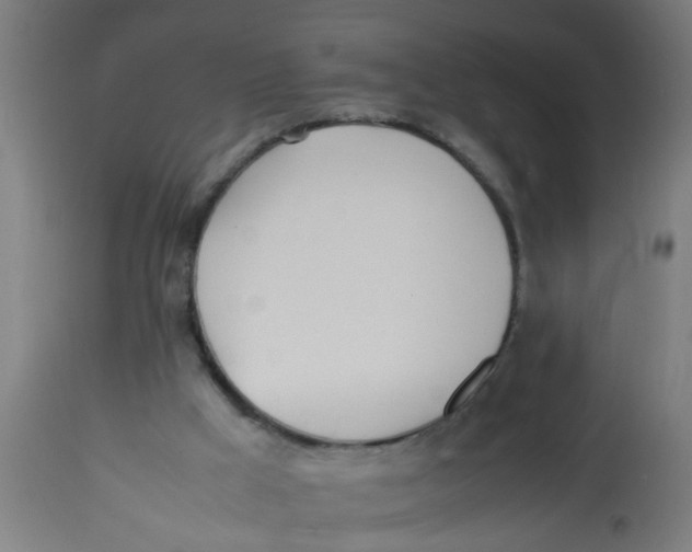 X0000113210009200910081328