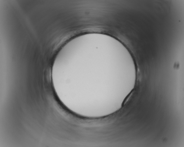 X0000113210013200910081328