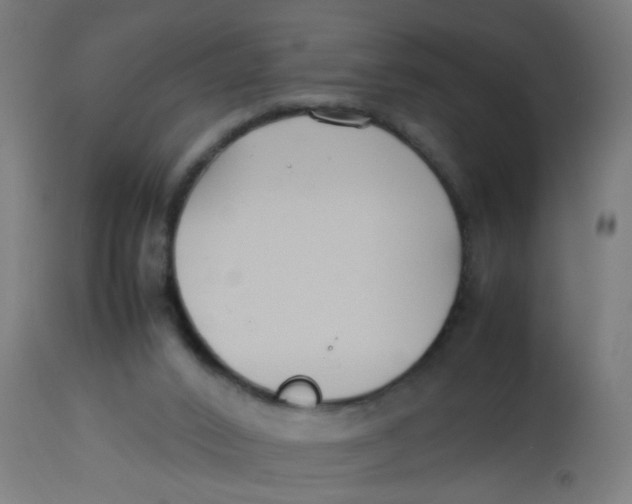 X0000113210016200910081328