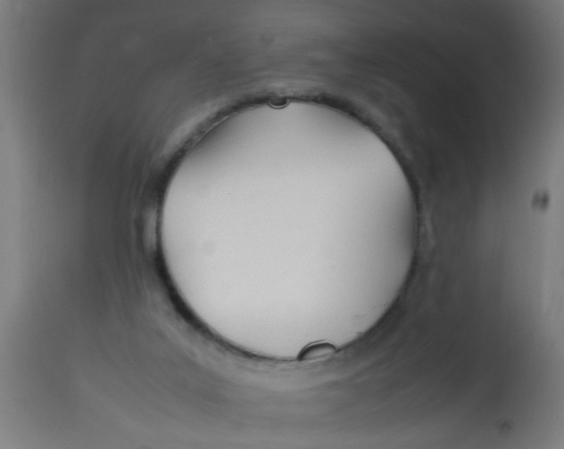 X0000113210019200910081328