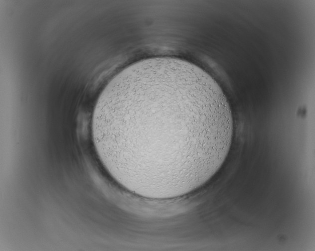 X0000113210026200910081328