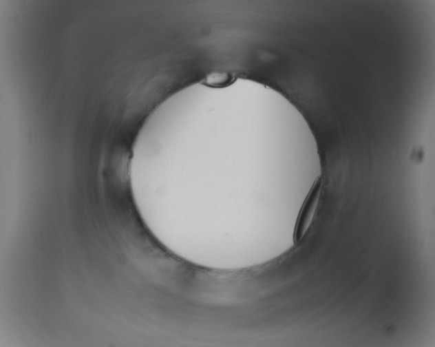 X0000113210041200910081327