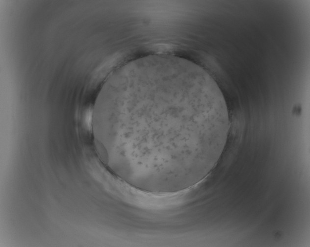 X0000113210047200910081327