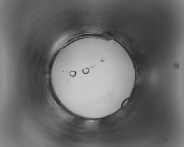 X0000113210053200910081327