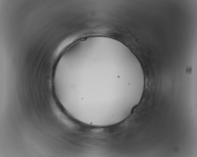 X0000113210054200910081327